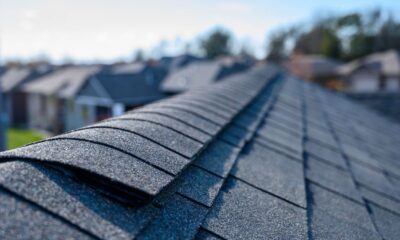 ridge vent roof